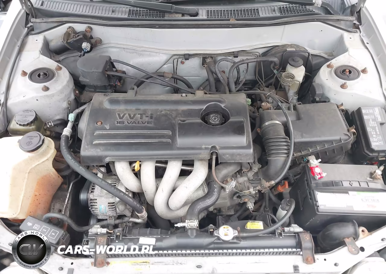 2000 Toyota Corolla Ce VIN:2T1BR12E7YC339093 - 10