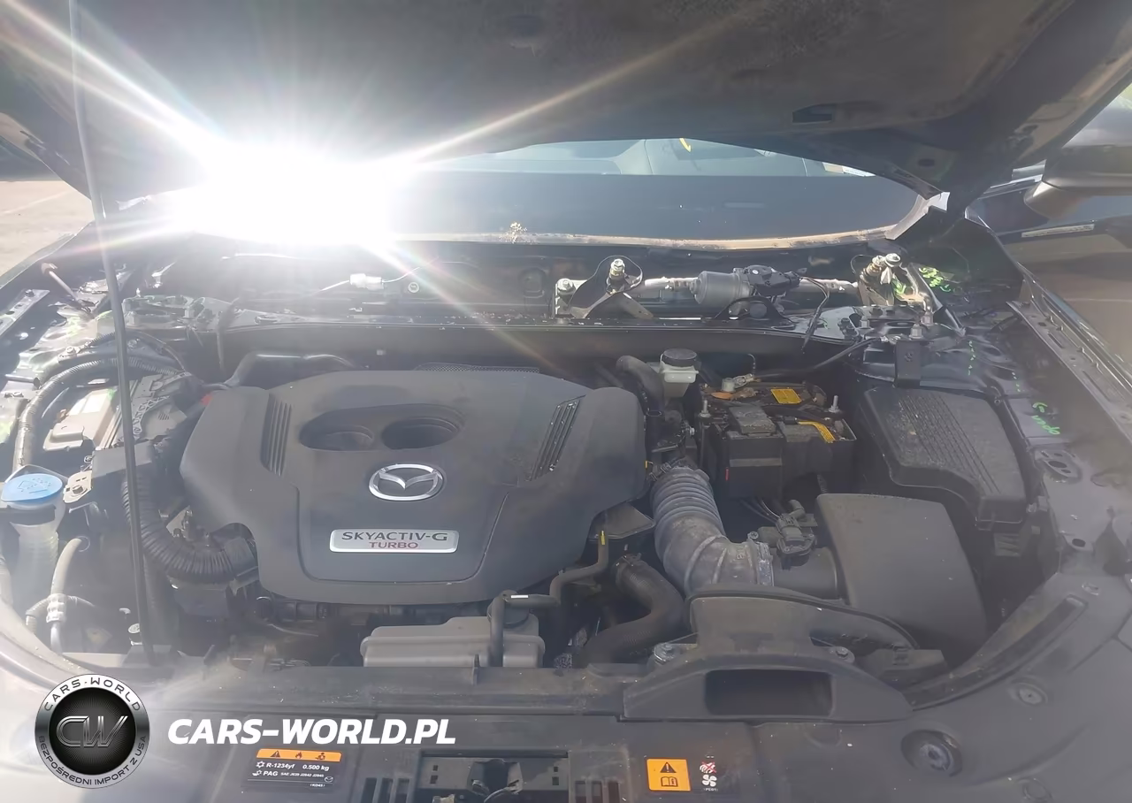 2024 Mazda Cx-5 2.5 Turbo Premium VIN:JM3KFBDY7R0421091 - 10