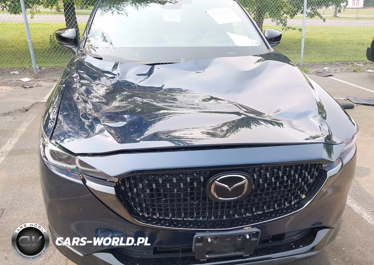 2024 Mazda Cx-5 2.5 Turbo Premium VIN:JM3KFBDY7R0421091 - 18