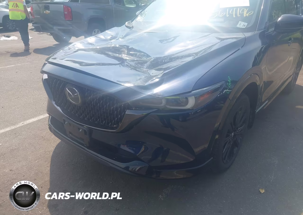 2024 Mazda Cx-5 2.5 Turbo Premium VIN:JM3KFBDY7R0421091 - 6