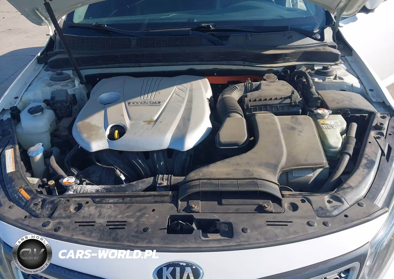 2014 Kia Optima Hybrid Ex VIN:KNAGN4AD7E5069302 - 10