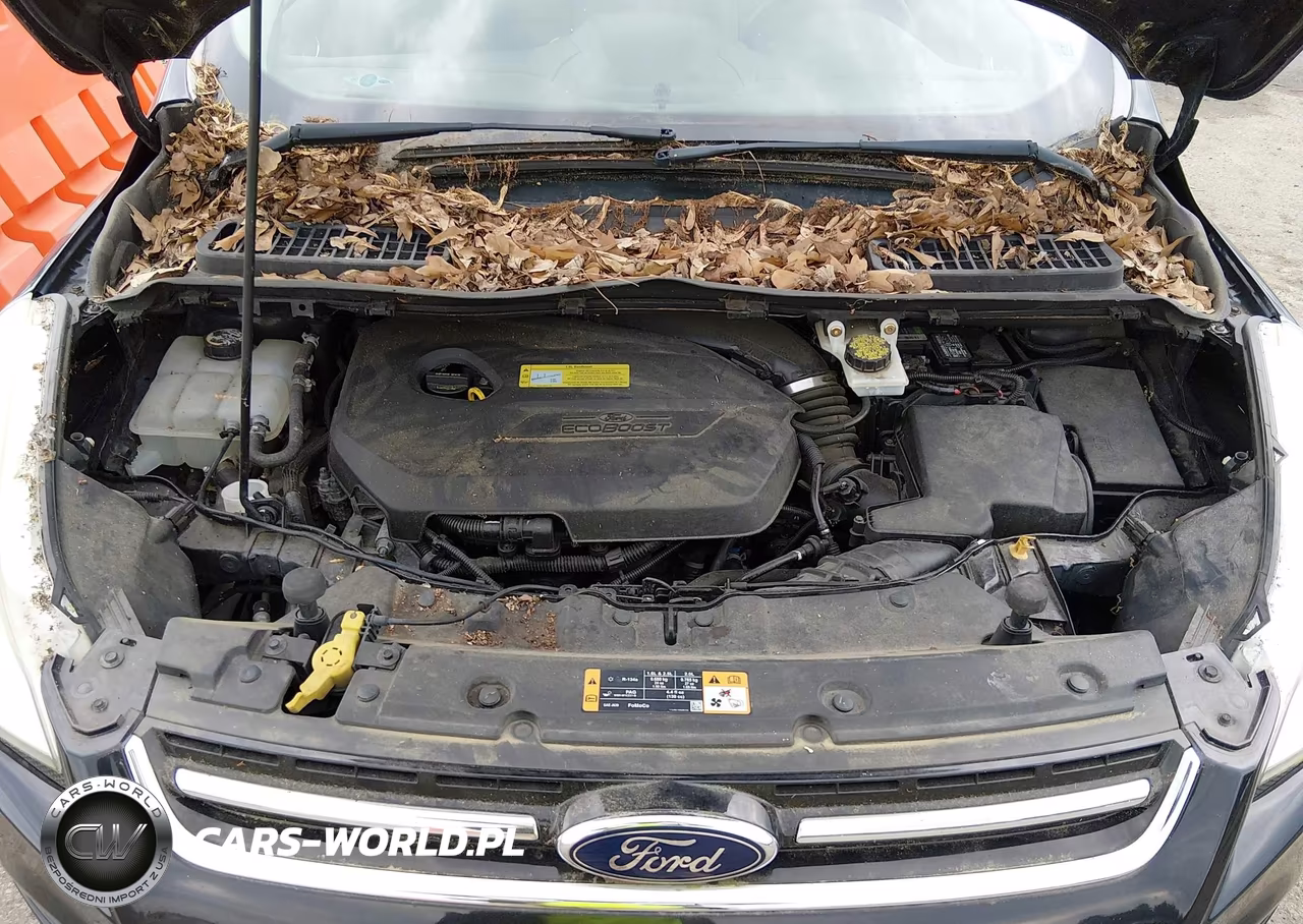 2014 Ford Escape Titanium VIN:1FMCU0JX1EUC65339 - 10