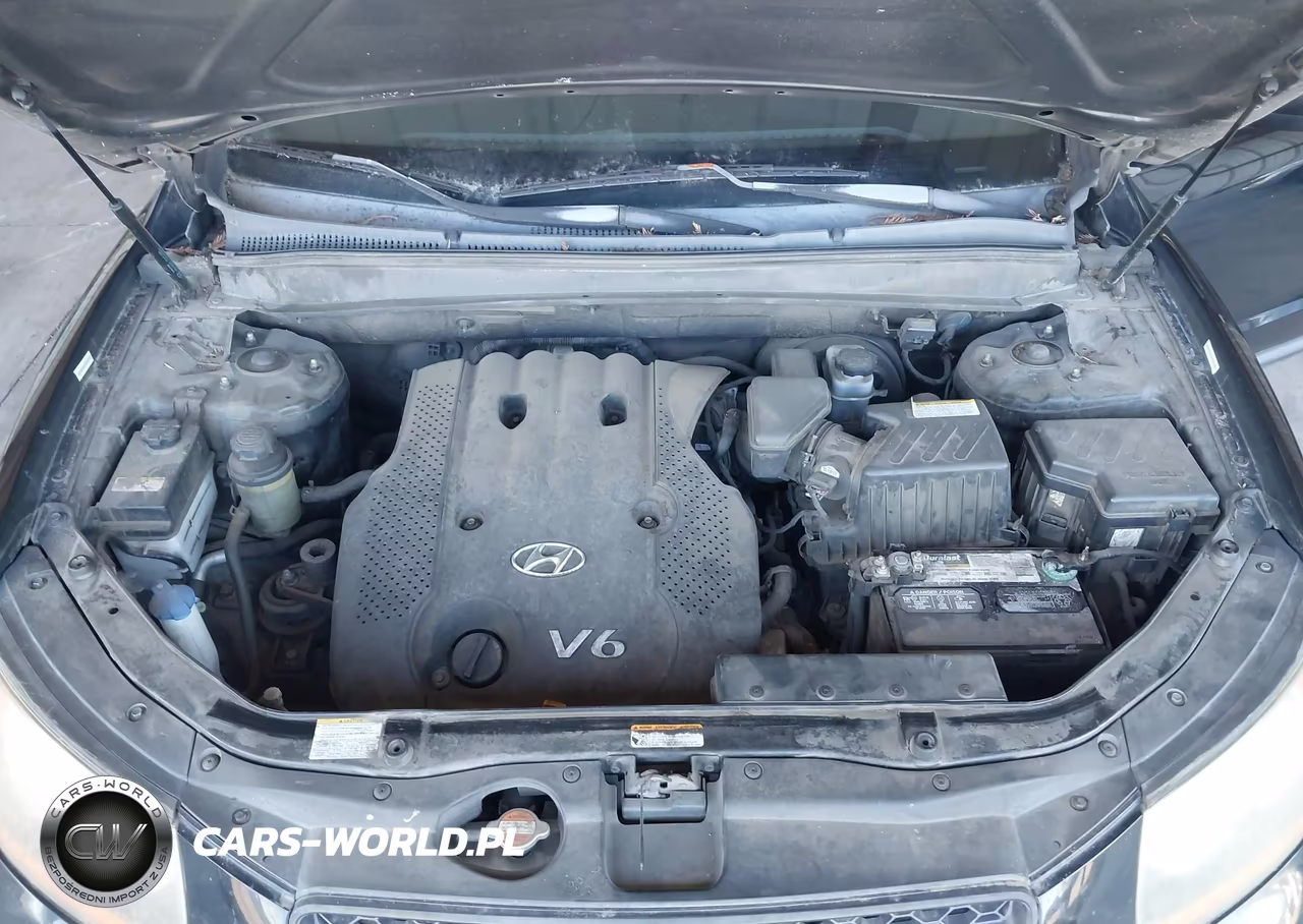 2008 Hyundai Santa Fe Gls VIN:5NMSG13D18H129692 - 10