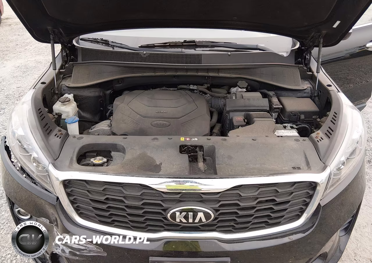 2019 Kia Sorento 3.3L Ex VIN:5XYPH4A56KG566296 - 10