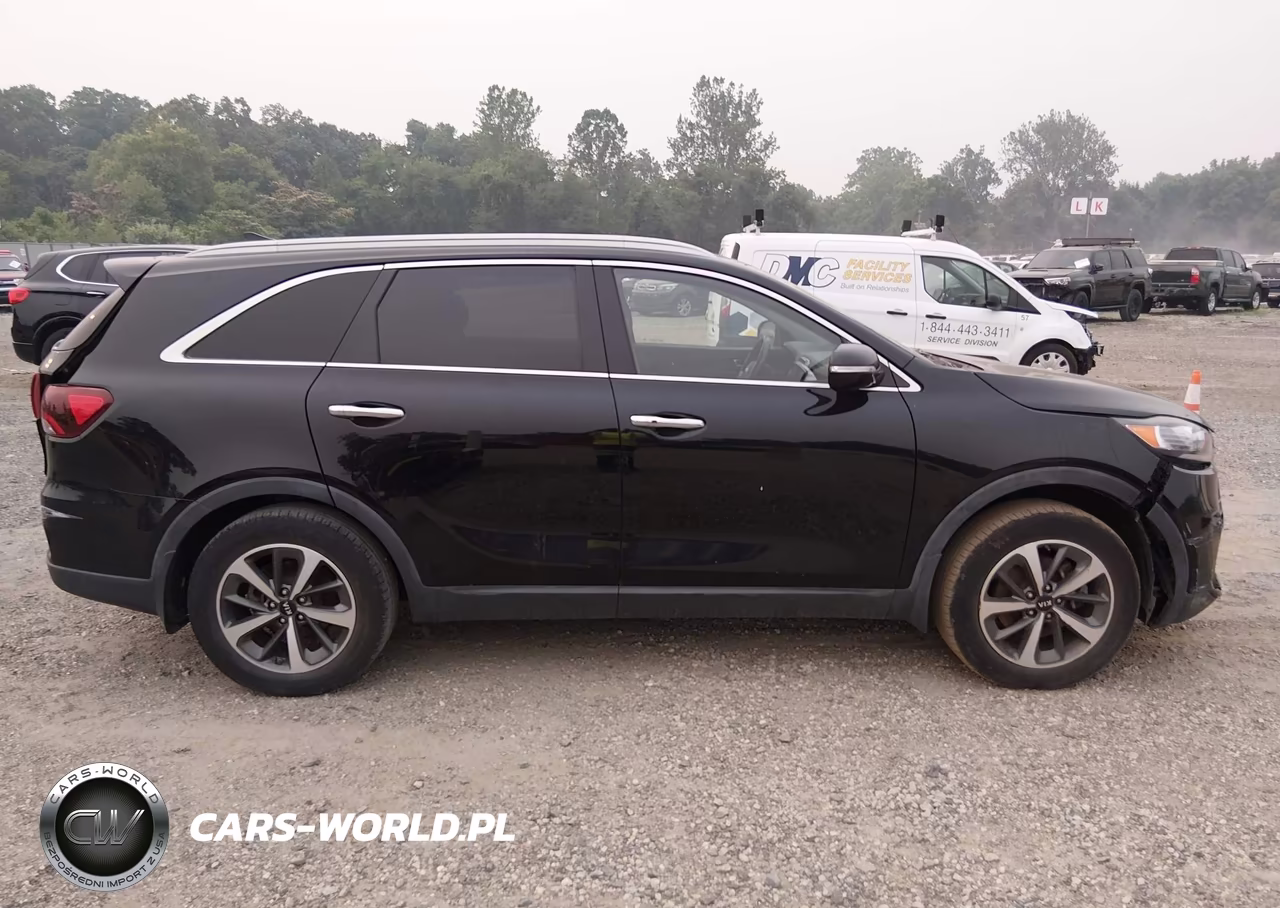 2019 Kia Sorento 3.3L Ex VIN:5XYPH4A56KG566296 - 13