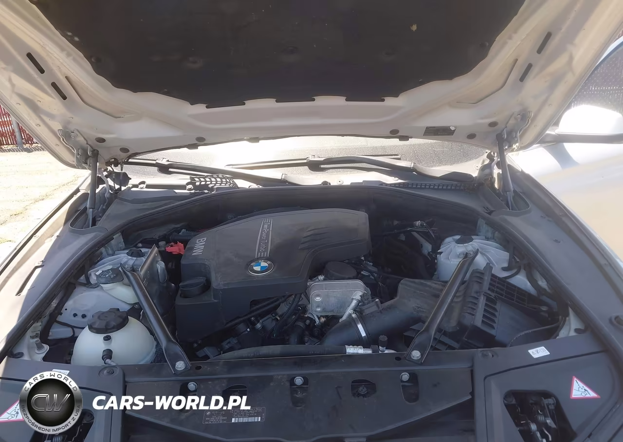 2013 BMW 528I VIN:WBAXG5C59DDY35847 - 10