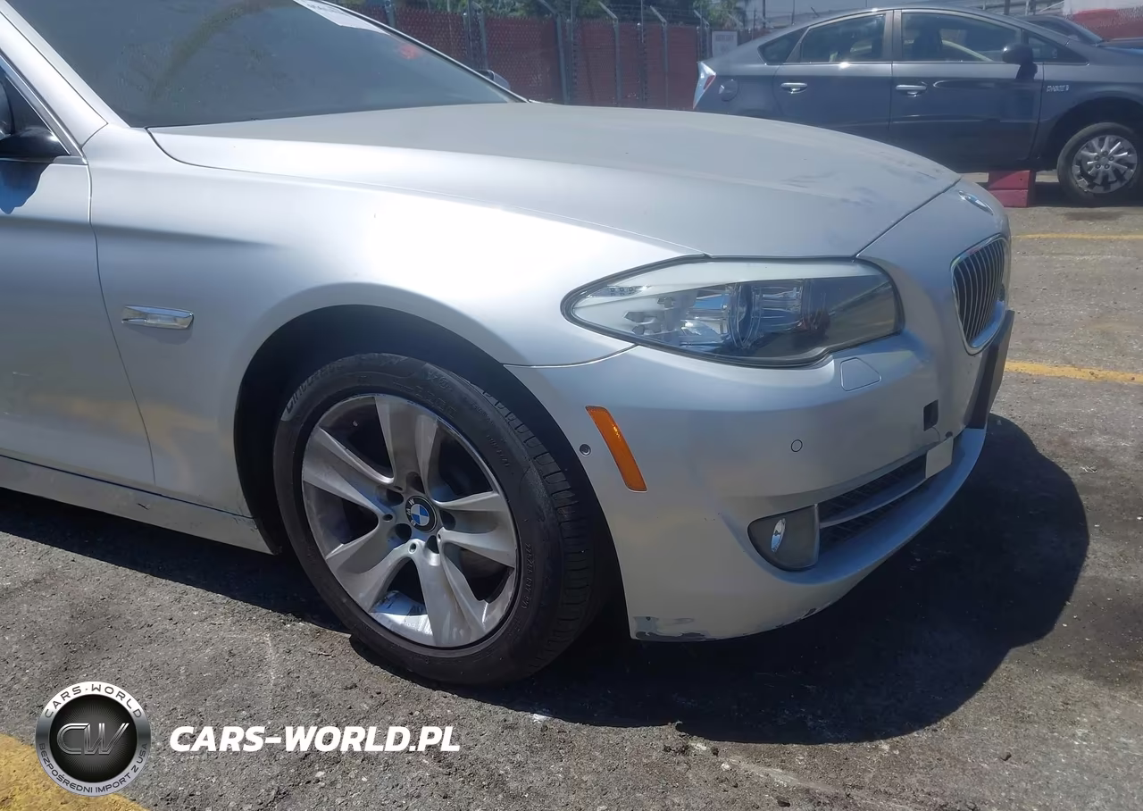 2013 BMW 528I VIN:WBAXG5C59DDY35847 - 13