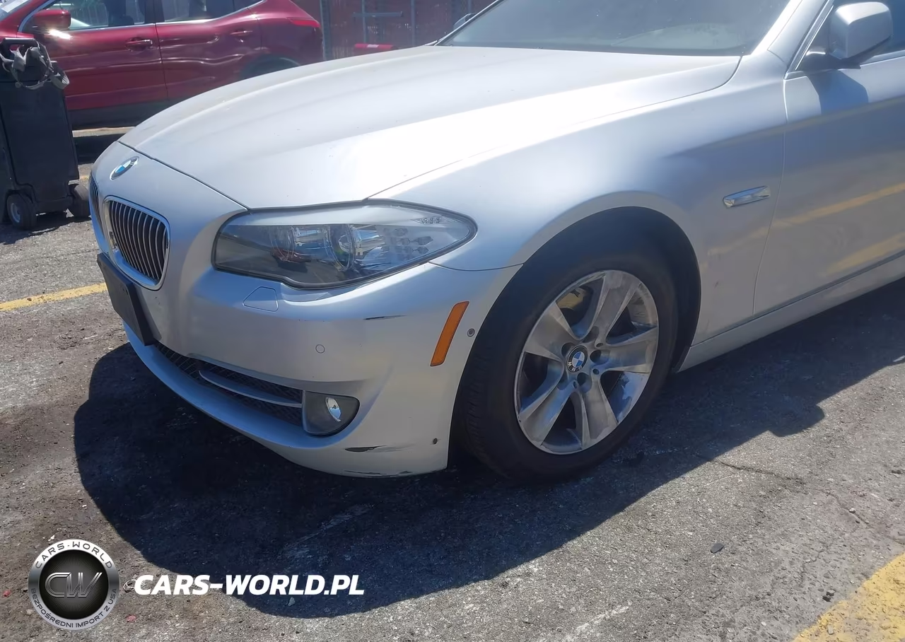 2013 BMW 528I VIN:WBAXG5C59DDY35847 - 6