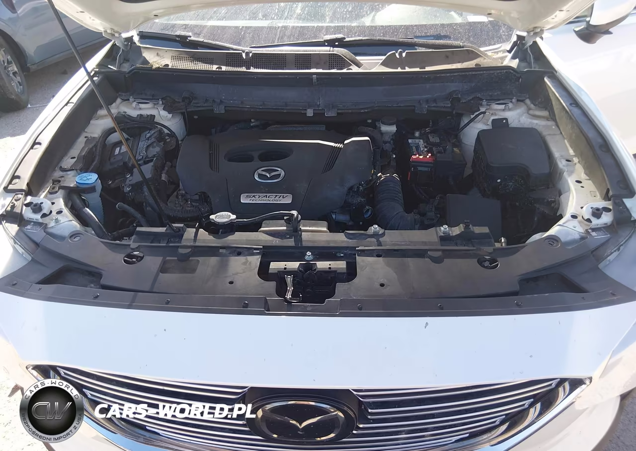 2019 Mazda Cx-9 Touring VIN:JM3TCACY4K0332190 - 10