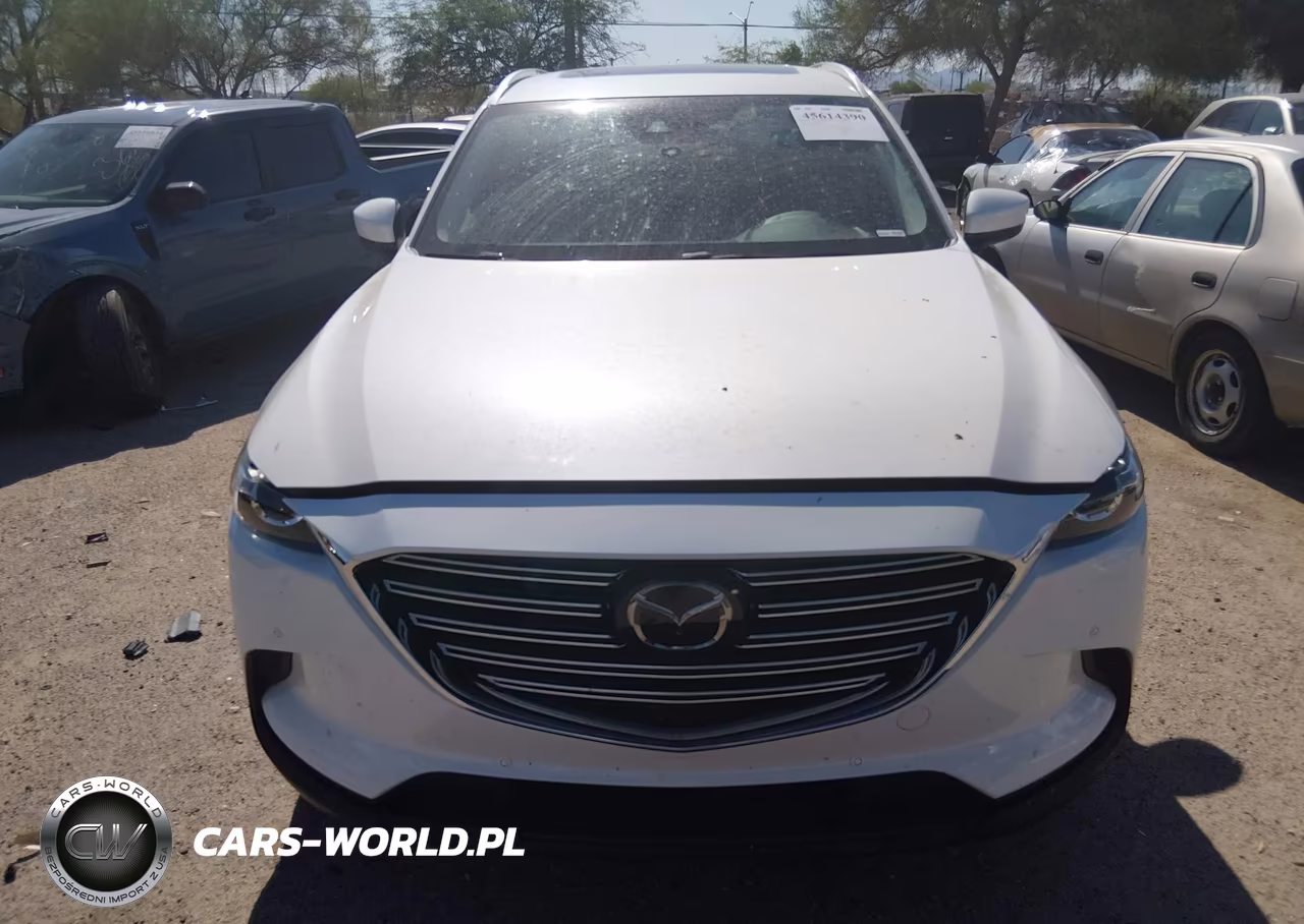 2019 Mazda Cx-9 Touring VIN:JM3TCACY4K0332190 - 12