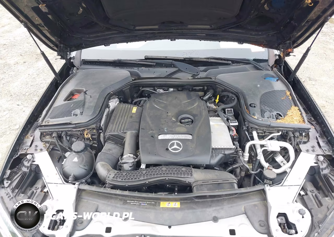 2017 Mercedes-Benz E 300 VIN:WDDZF4JB7HA114229 - 10