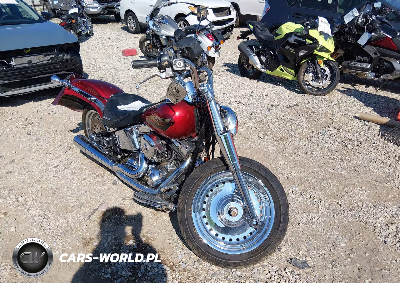 2008 Harley-Davidson Flstf