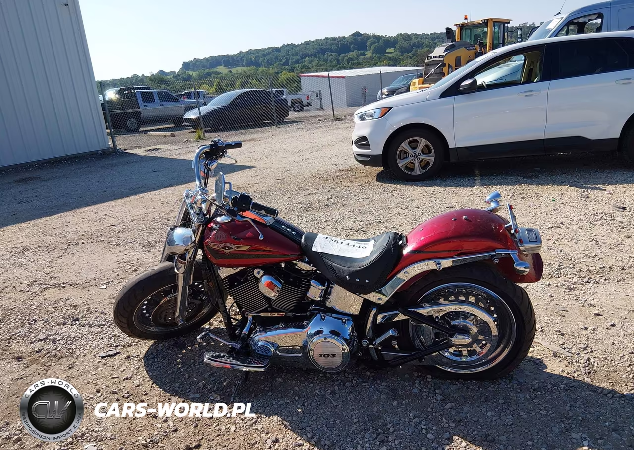 2008 Harley-Davidson Flstf VIN:1HD1BX5118Y044660 - 12