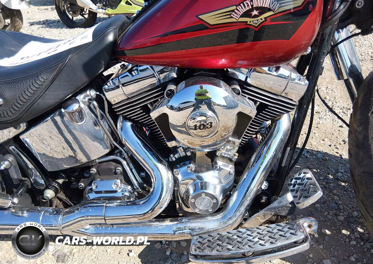 2008 Harley-Davidson Flstf VIN:1HD1BX5118Y044660 - 8
