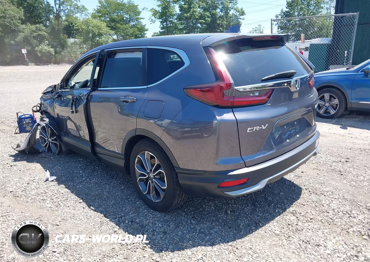 2022 Honda Cr-V Awd Ex VIN:5J6RW2H59NA007381 - 3