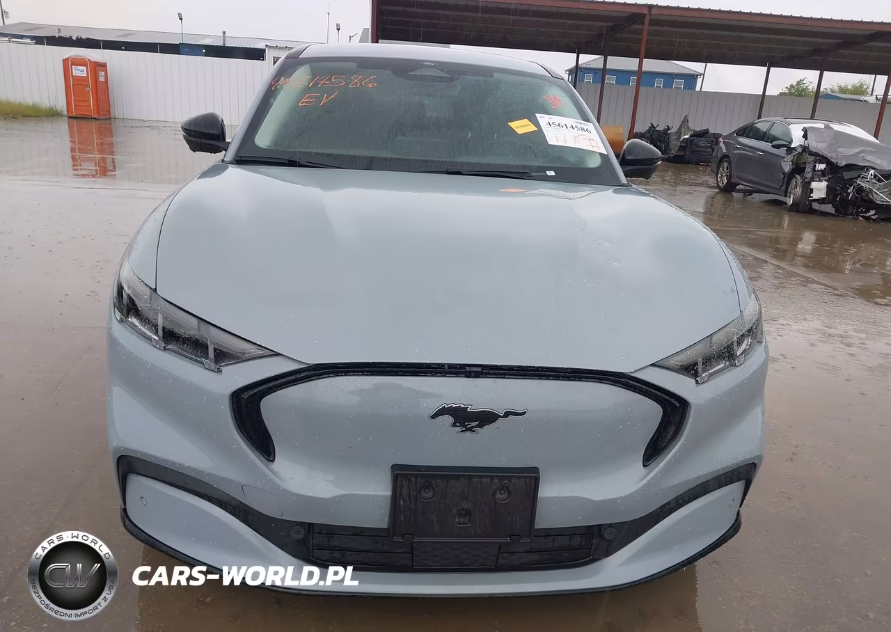 2024 Ford Mustang Mach-E Premium VIN:3FMTK3SU7RMA38517 - 13
