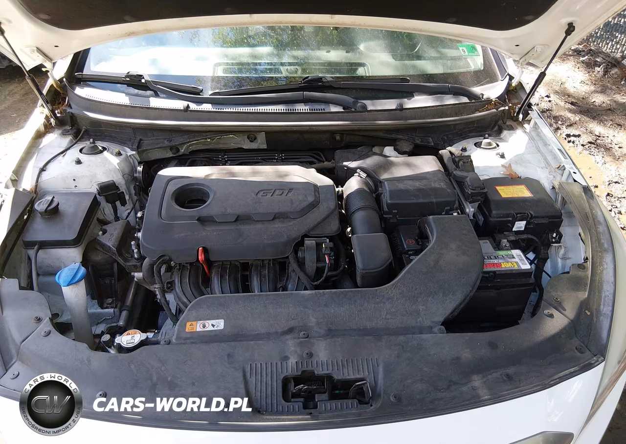2015 Hyundai Sonata Se VIN:5NPE24AF7FH161628 - 10