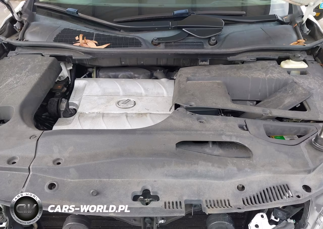 2015 Lexus Rx 350 VIN:2T2BK1BA7FC293338 - 10