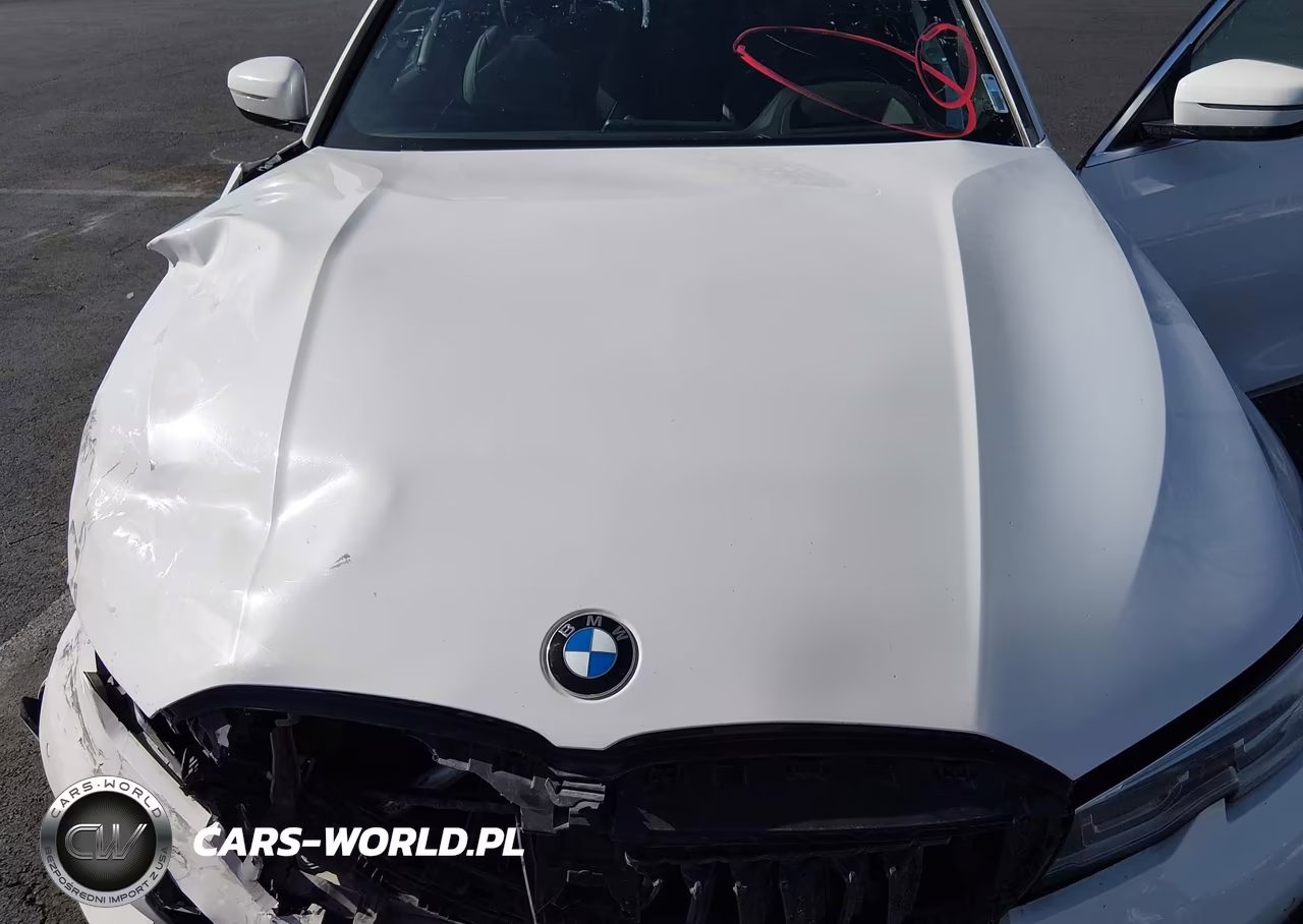 2020 BMW 330I VIN:3MW5R1J08L8B15808 - 10
