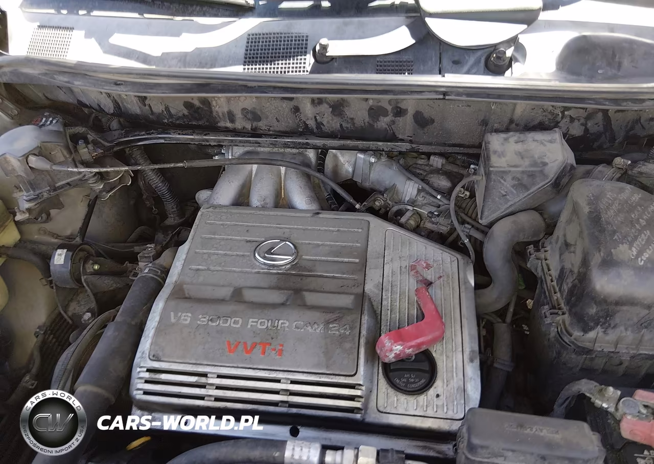 2001 Lexus Rx 300 VIN:JTJHF10U010197468 - 10