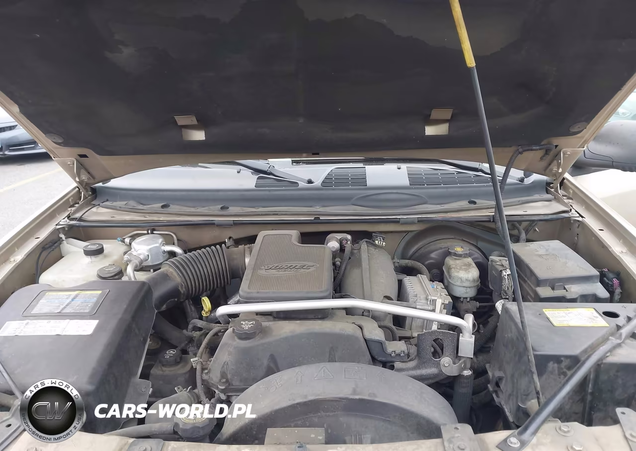 2004 Chevrolet Trailblazer Ext Ls VIN:1GNES16S146140681 - 10