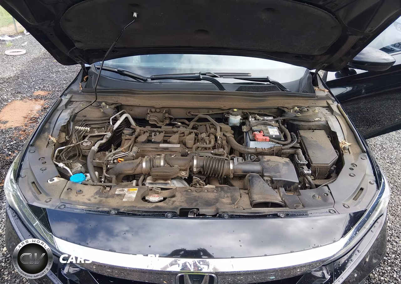 2019 Honda Accord Lx VIN:1HGCV1F16KA118332 - 10