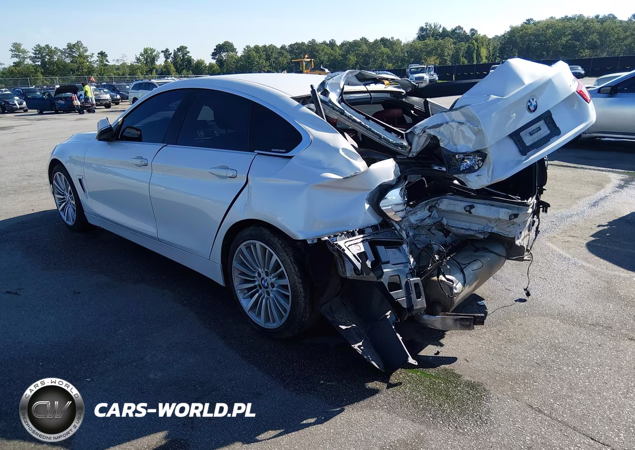 2016 BMW 428I Gran Coupe VIN:WBA4A9C56GG505467 - 3