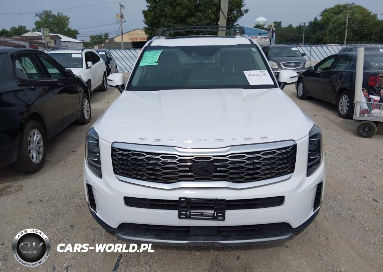 2020 Kia Telluride Ex VIN:5XYP34HC3LG094143 - 12
