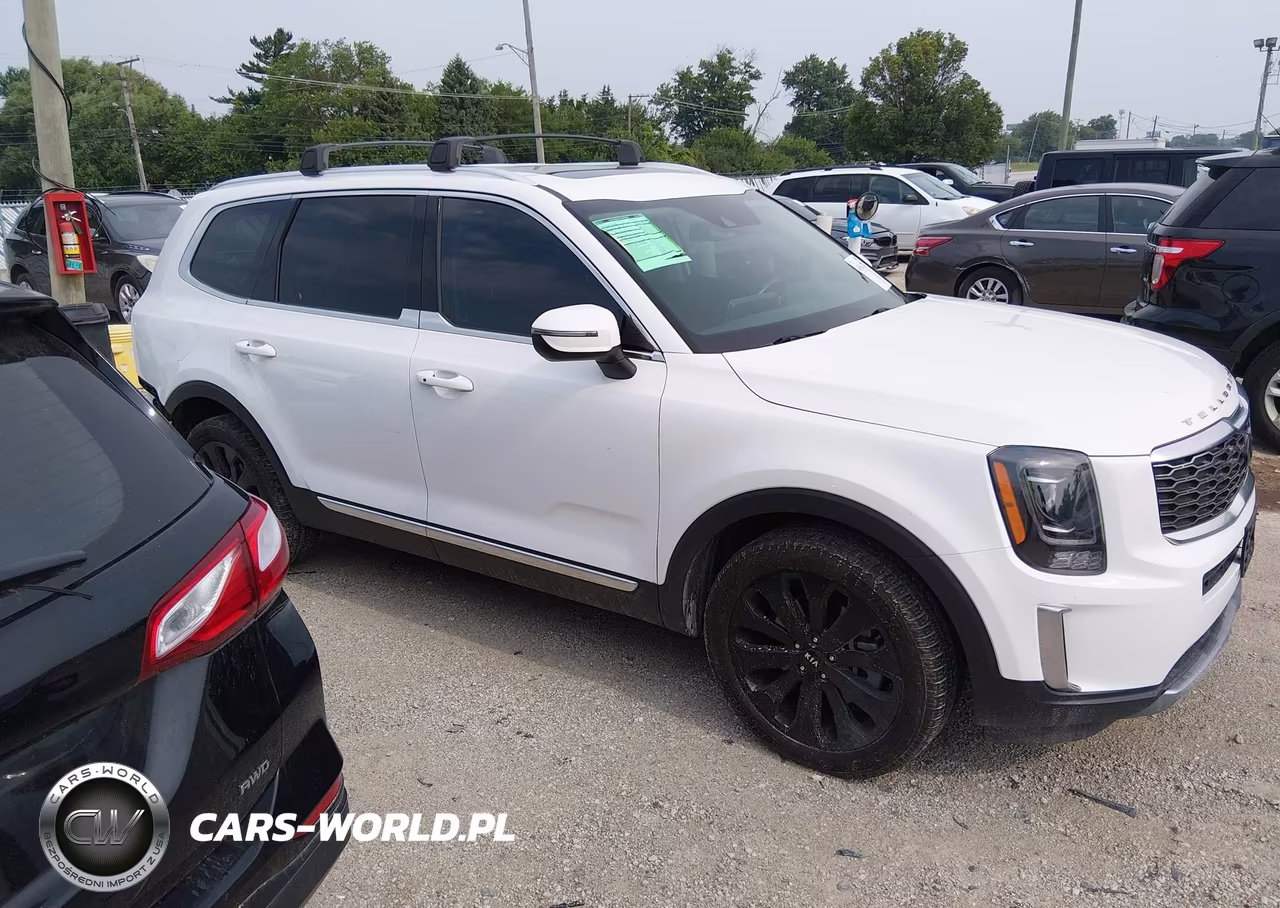 2020 Kia Telluride Ex VIN:5XYP34HC3LG094143 - 13