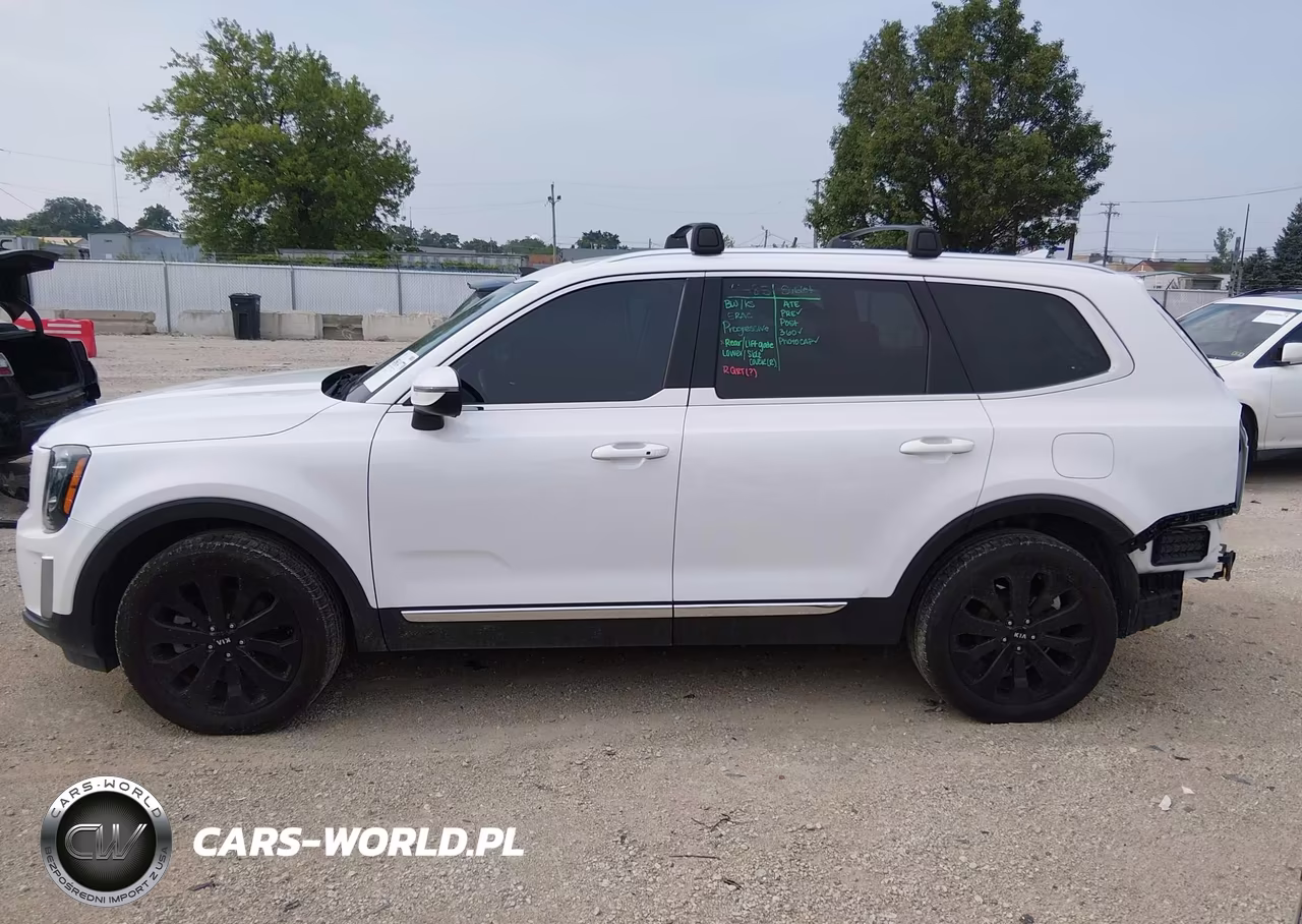 2020 Kia Telluride Ex VIN:5XYP34HC3LG094143 - 14
