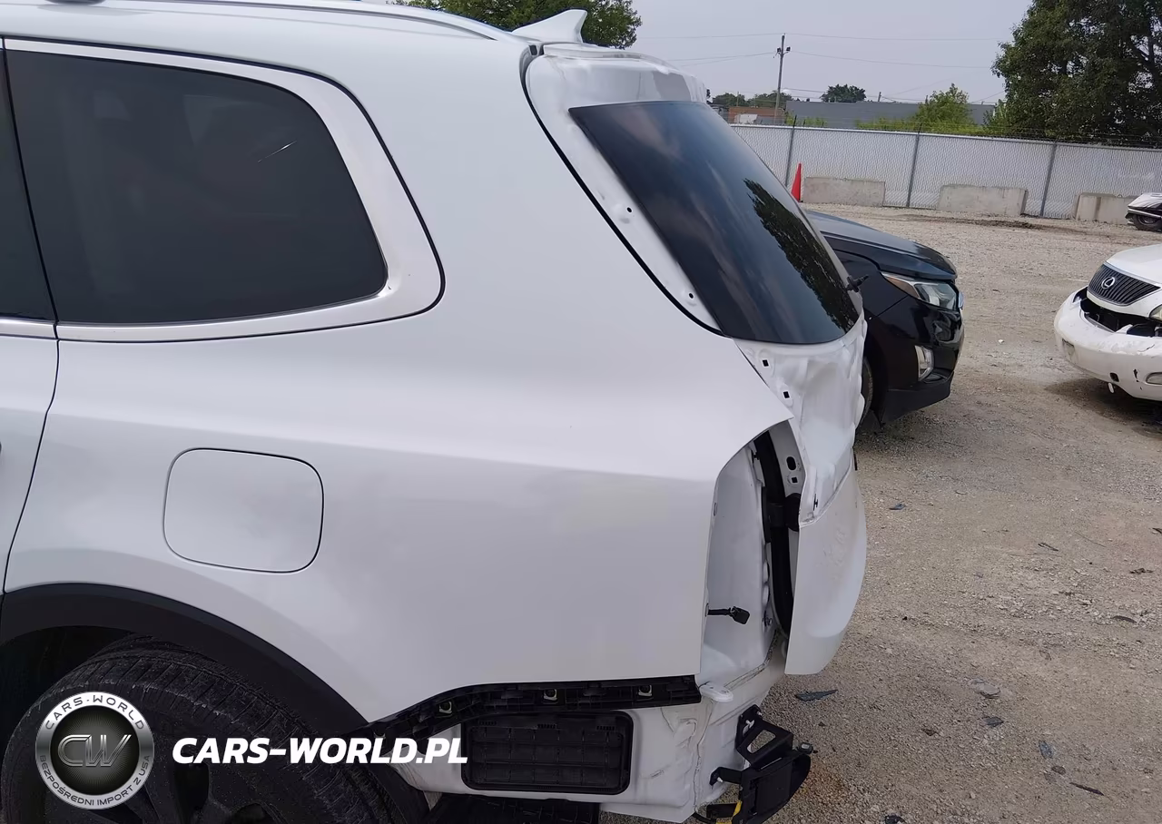 2020 Kia Telluride Ex VIN:5XYP34HC3LG094143 - 17