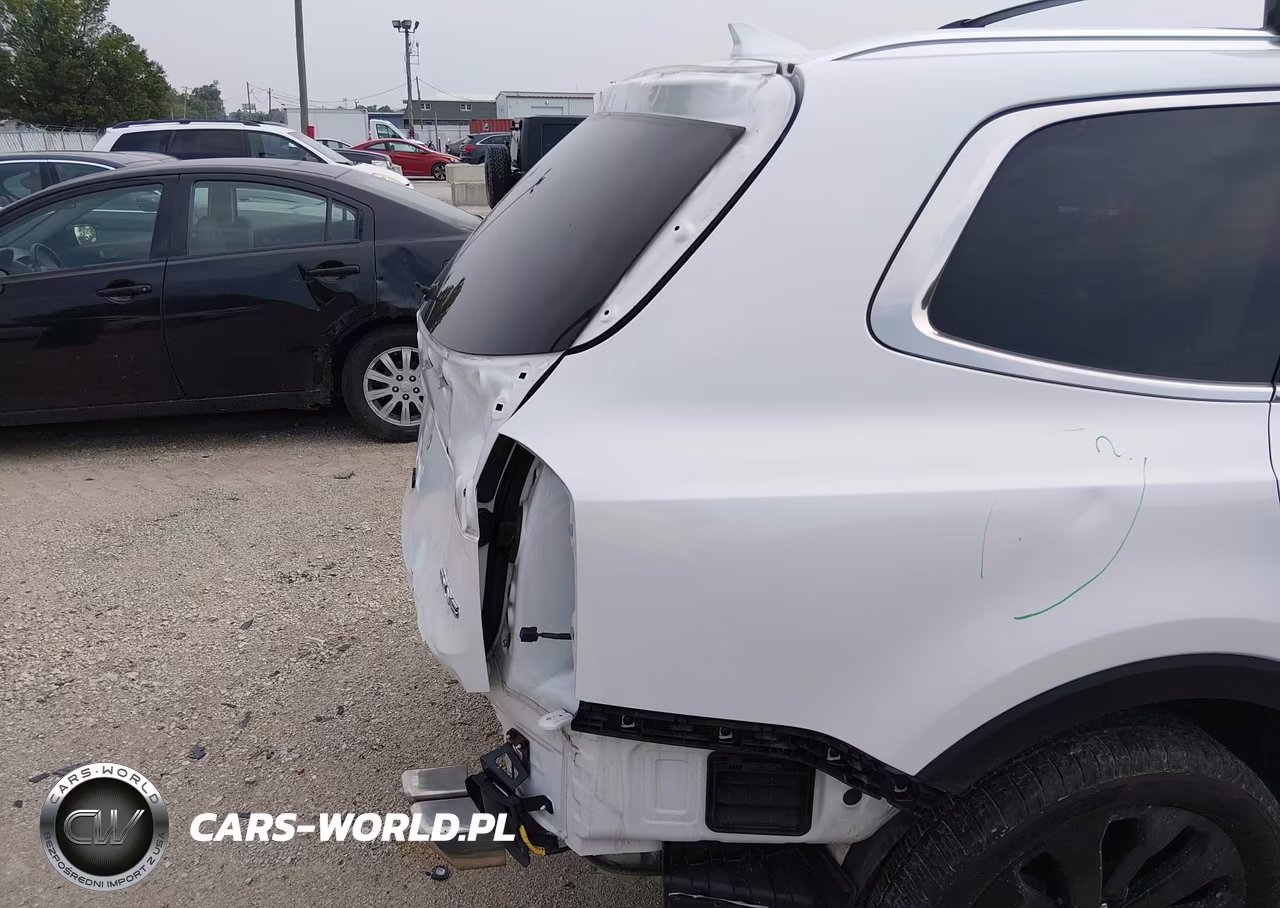 2020 Kia Telluride Ex VIN:5XYP34HC3LG094143 - 18