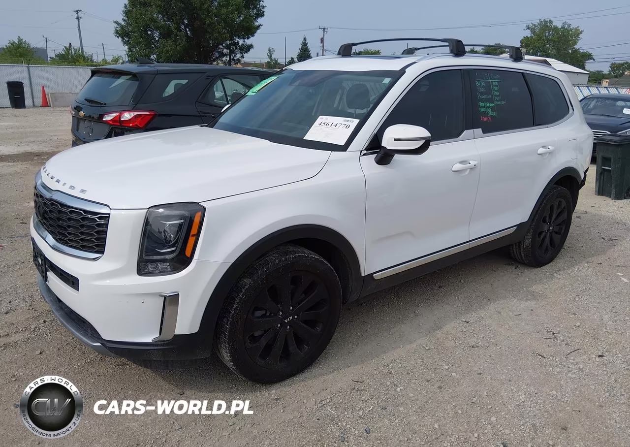 2020 Kia Telluride Ex VIN:5XYP34HC3LG094143 - 2