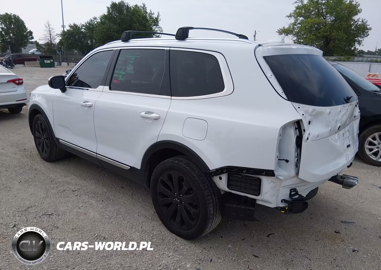 2020 Kia Telluride Ex VIN:5XYP34HC3LG094143 - 3