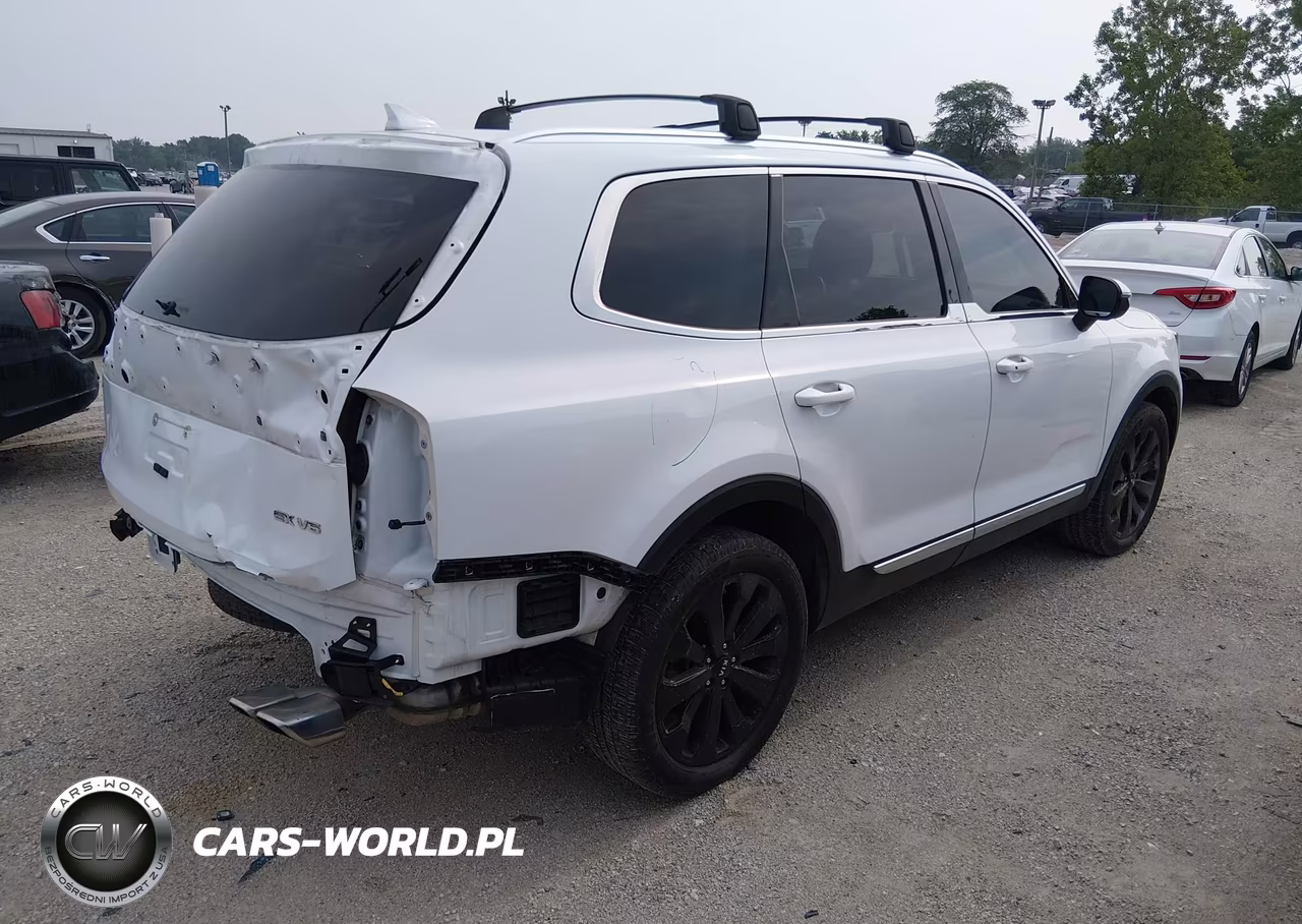 2020 Kia Telluride Ex VIN:5XYP34HC3LG094143 - 4