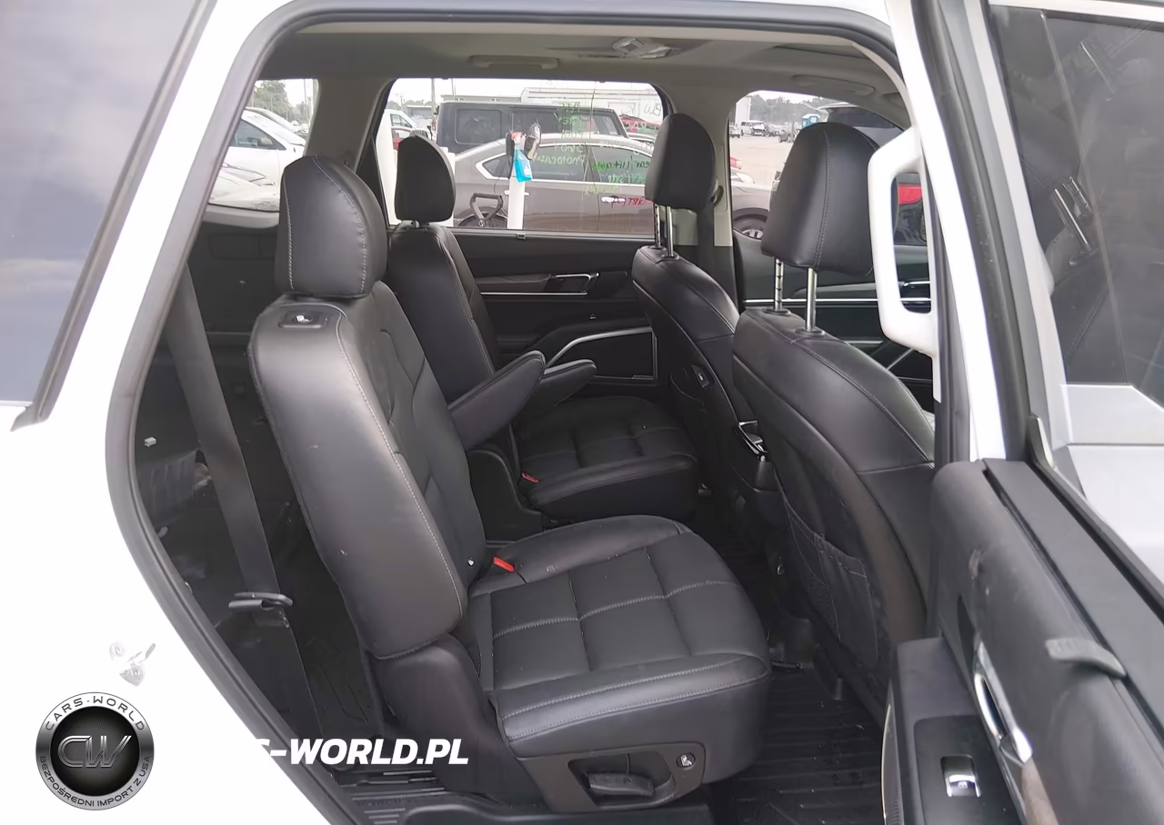 2020 Kia Telluride Ex VIN:5XYP34HC3LG094143 - 8