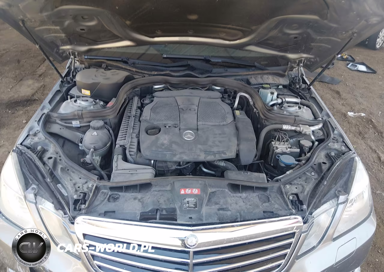2013 Mercedes-Benz E 350 VIN:WDDHF5KB3DA705894 - 10