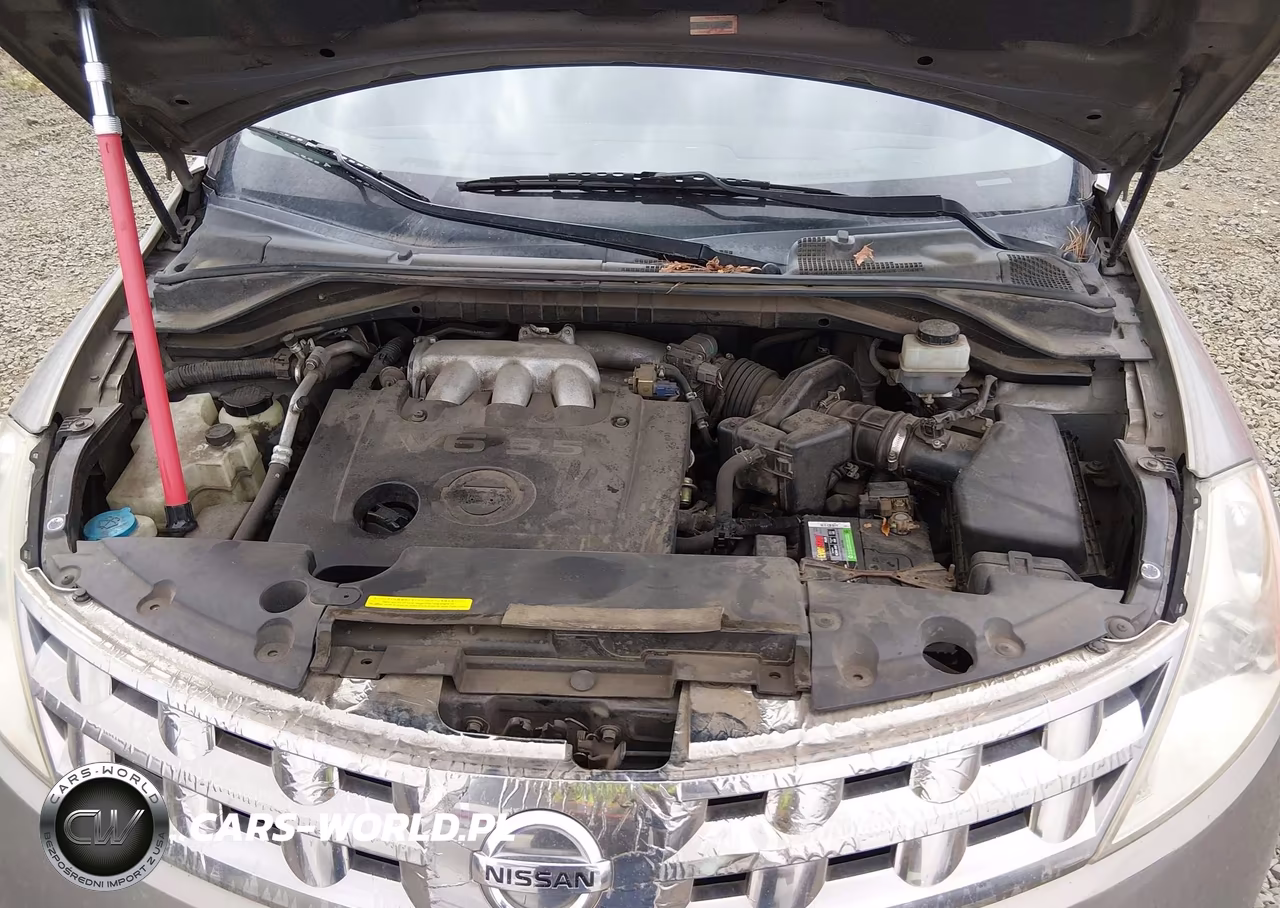 2004 Nissan Murano Sl VIN:JN8AZ08W94W338894 - 10