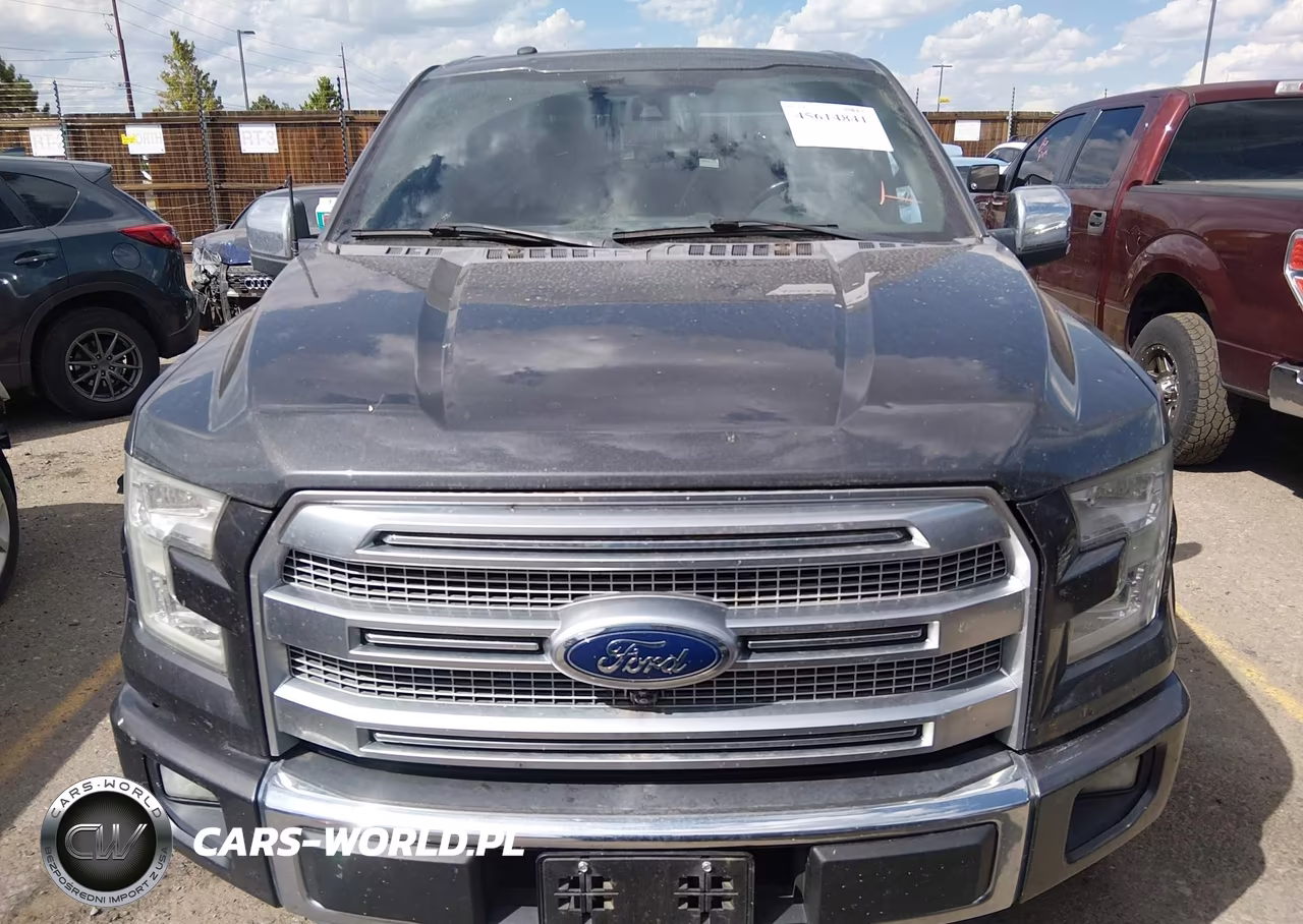 2016 Ford F-150 King Ranch-Lariat-Limited-Platinum-Xl-Xlt VIN:1FTEW1EG6GFB25544 - 13