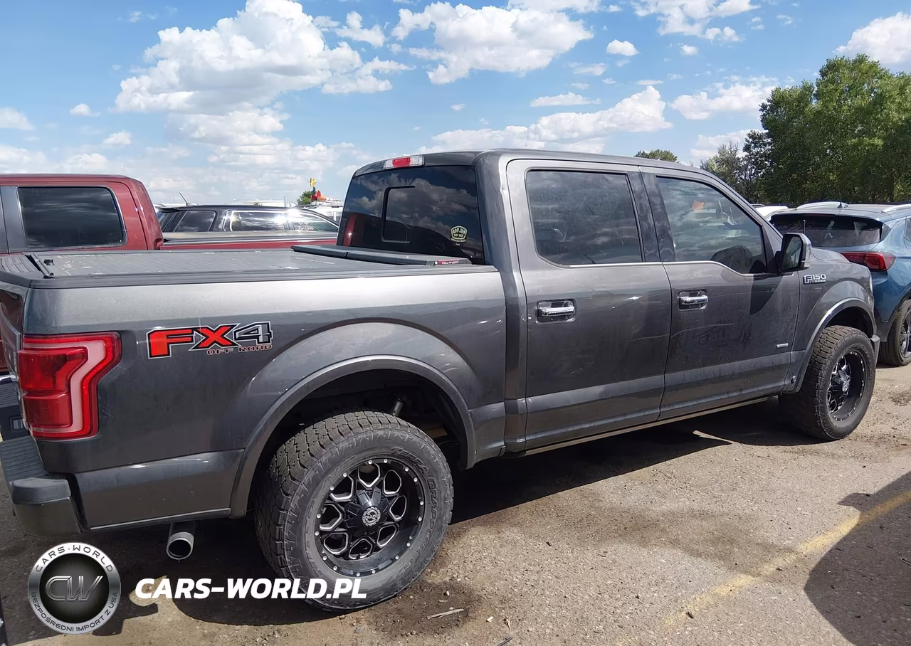 2016 Ford F-150 King Ranch-Lariat-Limited-Platinum-Xl-Xlt VIN:1FTEW1EG6GFB25544 - 14
