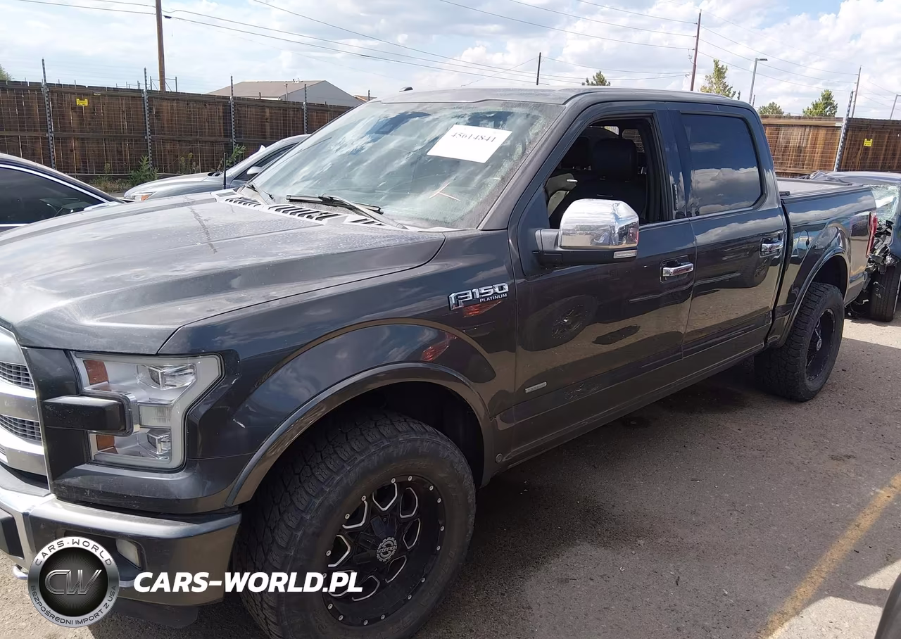 2016 Ford F-150 King Ranch-Lariat-Limited-Platinum-Xl-Xlt VIN:1FTEW1EG6GFB25544 - 15