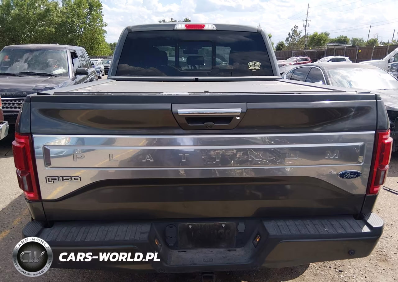 2016 Ford F-150 King Ranch-Lariat-Limited-Platinum-Xl-Xlt VIN:1FTEW1EG6GFB25544 - 17