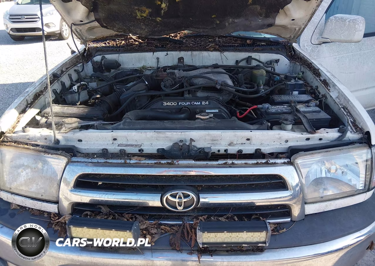 1999 Toyota 4Runner Sr5 V6 VIN:JT3GN86R5X0129418 - 10