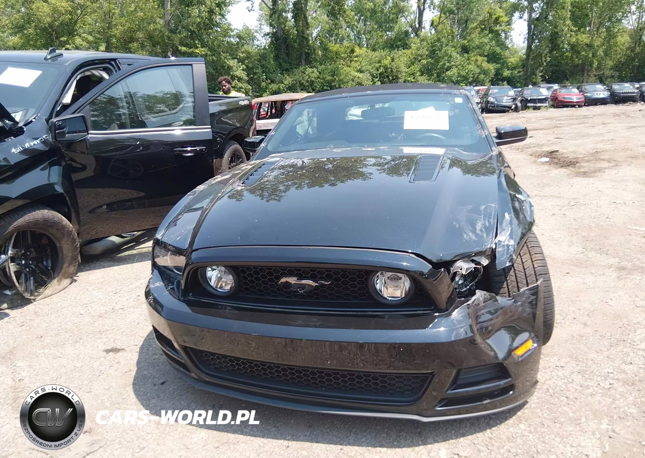 2013 Ford Mustang Gt Premium VIN:1ZVBP8FF8D5213086 - 12