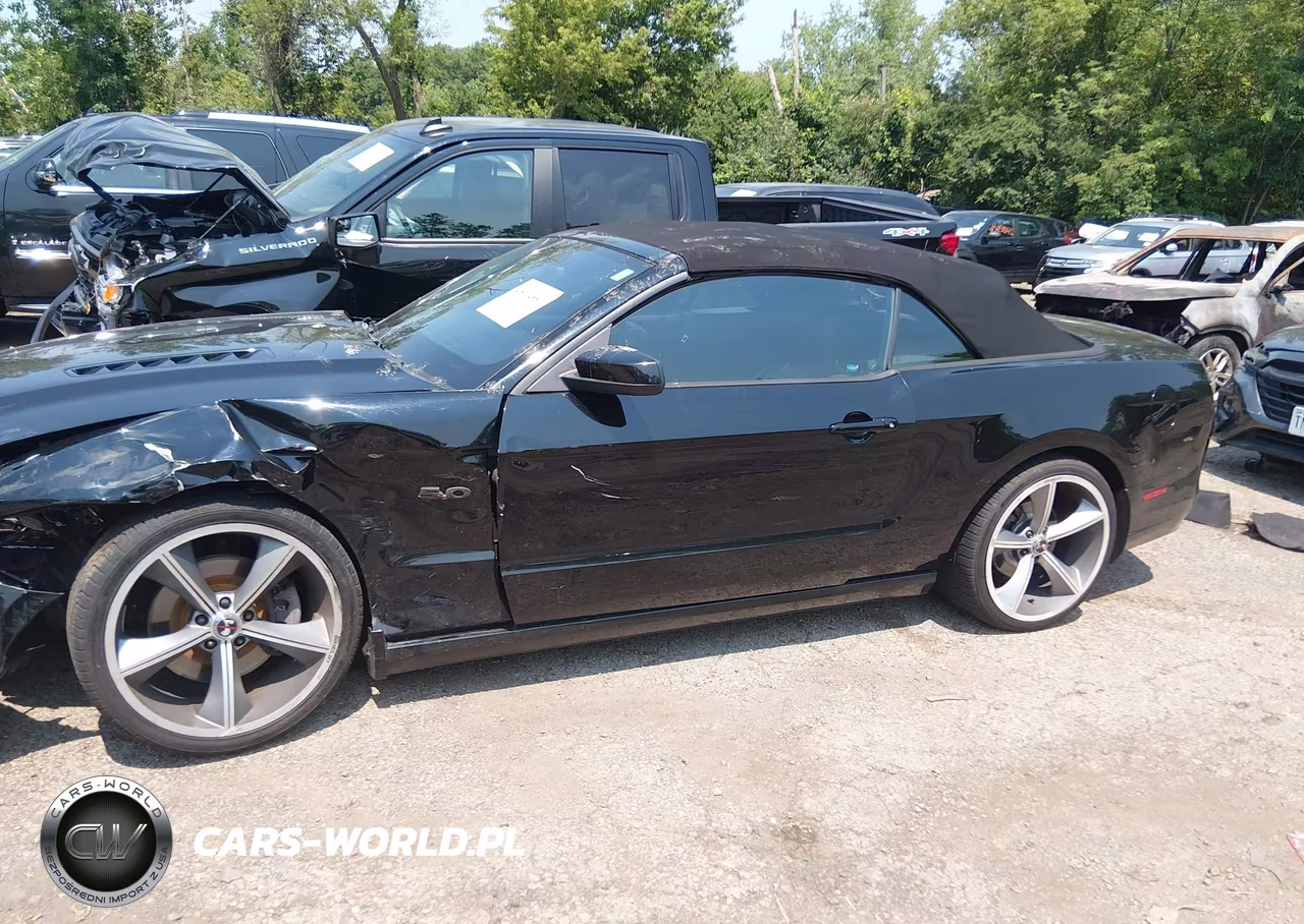 2013 Ford Mustang Gt Premium VIN:1ZVBP8FF8D5213086 - 14
