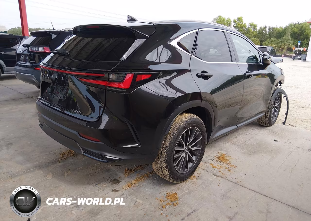 2025 Lexus Nx 250 VIN:2T2ADCAZ9SC024437 - 4