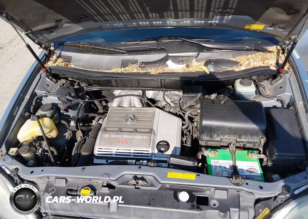 2002 Lexus Rx 300 VIN:JTJHF10U820242254 - 10