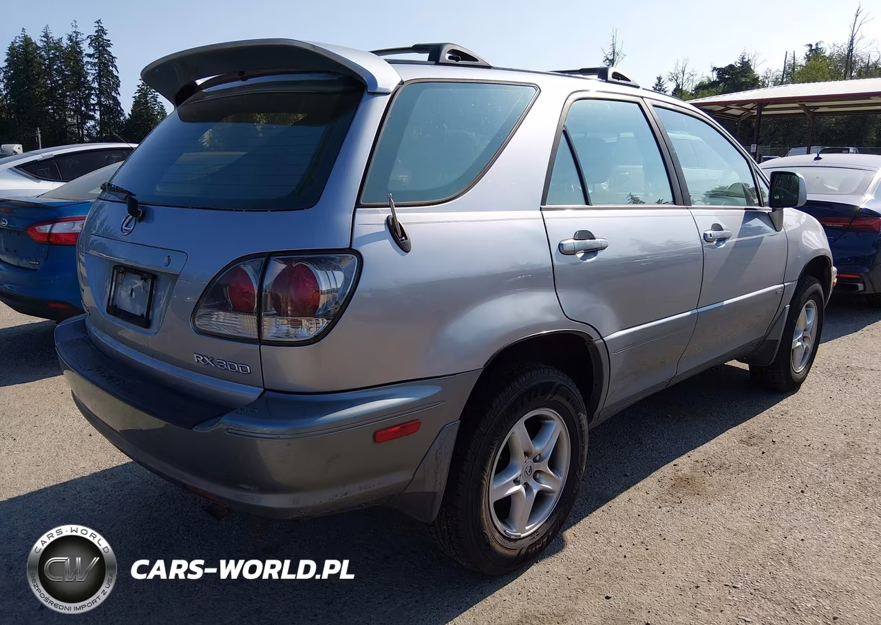 2002 Lexus Rx 300 VIN:JTJHF10U820242254 - 4