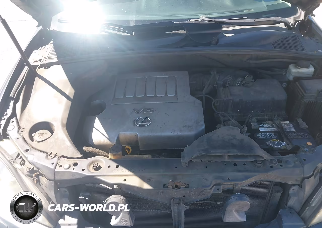 2007 Lexus Rx 350 VIN:2T2HK31U67C024377 - 10