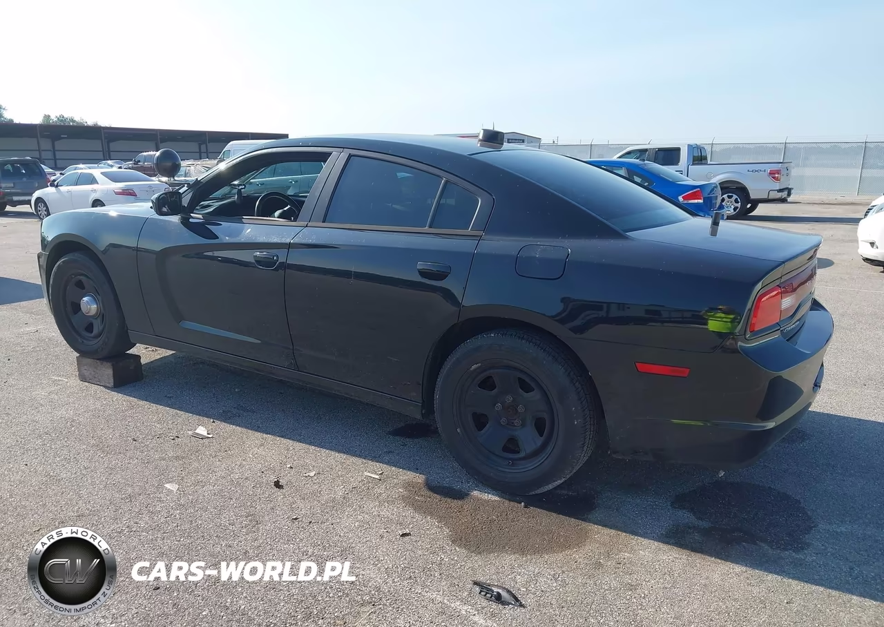 2014 Dodge Charger Police VIN:2C3CDXAG9EH290123 - 3